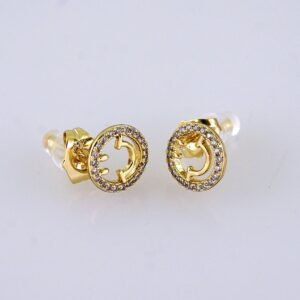 Women Earrings/ Aretes Dama/ Zircon Stone/14K Real Color/Stainless Steel// E1640