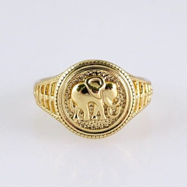 R640 RING - ANILLO - Plain - 14K Real Color
