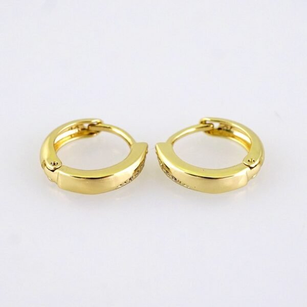 E1780 Women's Earrings - Aretes Dama - Zircon Stone - 14K Real Color